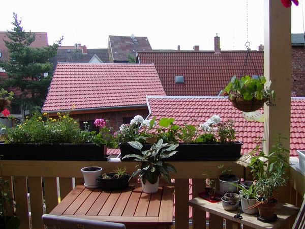 Sanierung: Mehrfamilienhaus mit Lden in Buttstdt