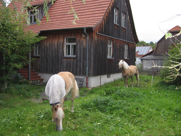 Sanierung: Wohnhaus in Brunnhartshausen