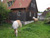 weitere Bilder