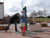 weitere Bilder
